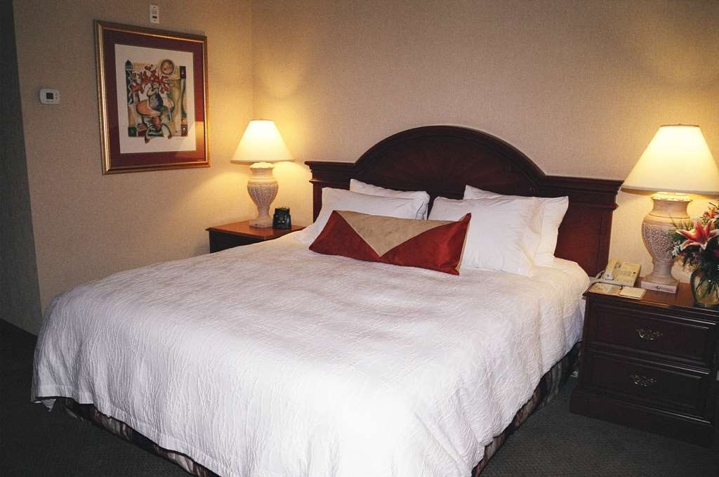 Hilton Garden Inn Kitchener/Cambridge Rum bild
